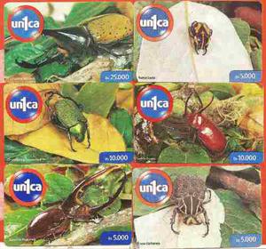Set De Tarjetas Unica Insectos 6 Pz.