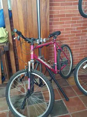 Bicicletas Montañera Rin 26