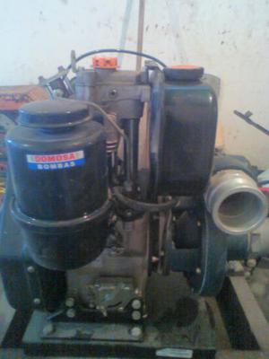 Bombas Agua Lombandi Gasoil 12hp