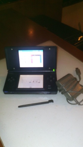 Ds Lite, En Perfecto Estado