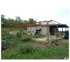 Finca de 80 hectareas en Tinaco, Cojedes, 10 reses, tractor