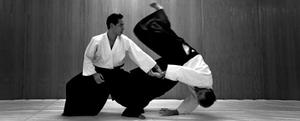 Keikogi Aikido Kendo