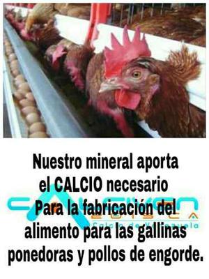 Malla 4 Y 10 Para Gallinas Ponedoras Y Pollos De Engorde