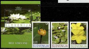  Eslovenia: Plantas Acuáticas