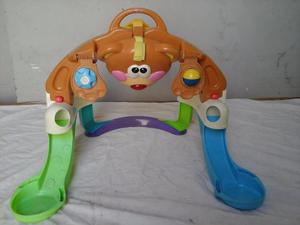 Gimnasio De Oso Fisher Price Usado Buen Estado