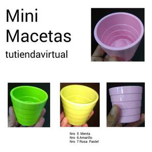 Mini Macetas Plantas Regalo Recuerdo Cotillón