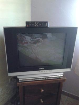 Televisor