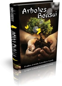 Arboles Bonsai + Envío Gratis!