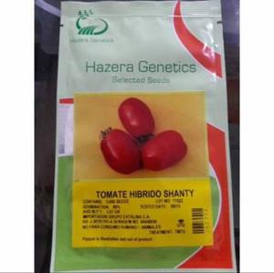 Semilla Hibrida Hazera Genetics Shanty Tomat Manual Sobre