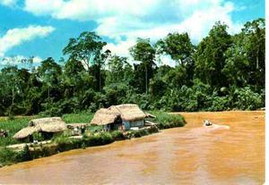 Postal De Indigenas En El Catatumbo Venezuela