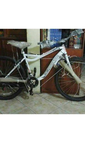 Bicicleta Montañera Mtb Benotto Rin 26 - Nueva