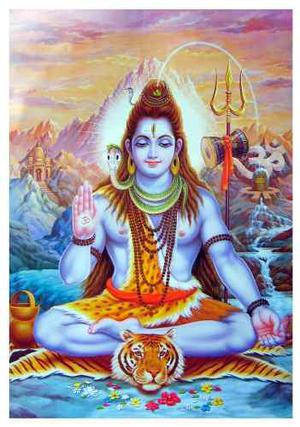 Oferta 5 Afiches Shiva