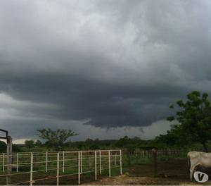 Venta de fincas haciendas y maquinarias en estado Zulia