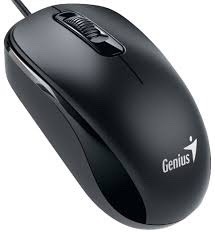 Mouse Genius Optico Dx-110 Usb Negro Y Blanco