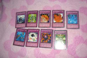 Cartas De Yugioh Detalladas