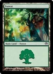Cartas Magic The Gathering - Forest Land