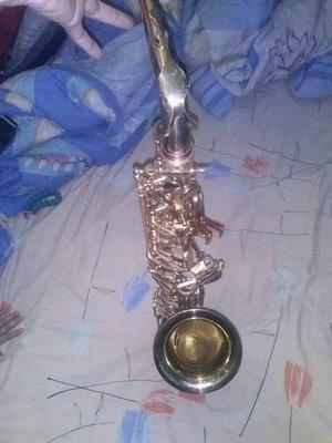 Saxofon Alto Marca Palatino