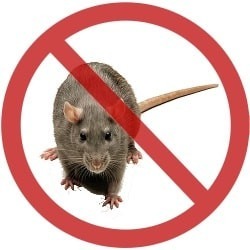 Cebo Anti Ratas Ratones Roedores