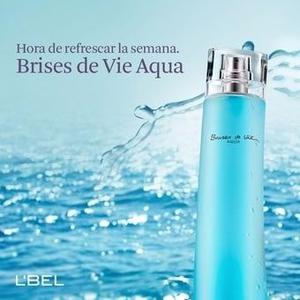 Fragancia Brisas De Vie Aqua. Lbel Ebel L'bel. 100ml