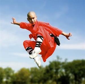Zapato Parkour Feiyue Arte Marcial China Wushu Kungfu 44