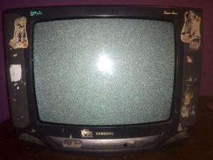 Televisor Samsung Bio Plus 21 Plg