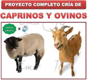 Kit Aprende Cría Ovinos Caprinos Ovejas Cabras Corrales