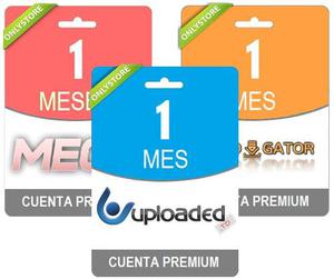 Cuentas Premium Mega Uploaded Rapidgator 30 Dias - 1 Mes