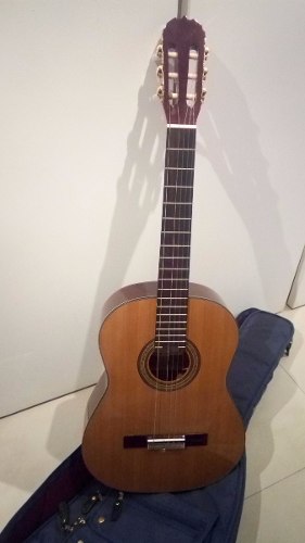 Guitarra Acústica Hohner Mc09 C/forro