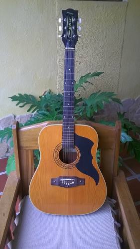 Guitarra Acustica Italiana Eko Ranger 6 Original Casi Nueva