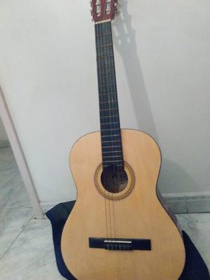 Guitarra Acustica Marca Palmer Como Nueva