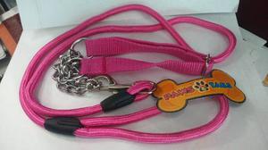 Collar + Paseador Para Perro