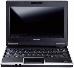 Mini Lapto, Toshiba, Perfectas Condiciones, Modelo Nb100