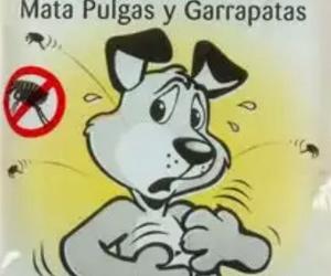 Anti Pulgas Y Garrapatas Perros Gatos Efectivo Matamata