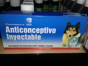 Anticonceptivo Iny Canino Felinos Calox