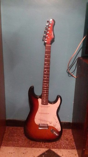Guitarra Electrica D Andre Tipo Stratocaster Con Forro