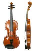 Violi. 4/4