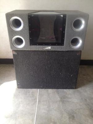 Vendo Cambio Bajos 12 Pulgadas De 600w Encajonados Original.