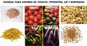 Manual Para Siembra De Tomate, Pimenton, Aji Y Berenjena