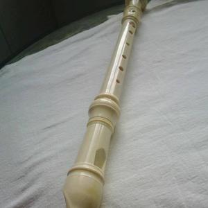 Flauta Dulce Separable Como Nueva
