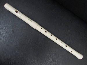 Flauta Transvera De Plástico Yamaha