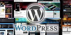 Temas Para Wordpress Premiun Pack 25 Temas