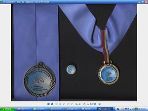 Medallas, Placas, Botones Vitrificados Yoyos, Diplomas