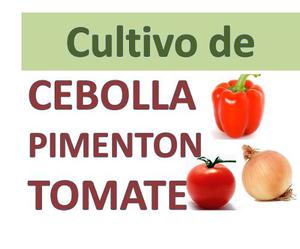 Aprende Cultivo Pimentón, Cebolla Y Tomate.envío Gratis !!