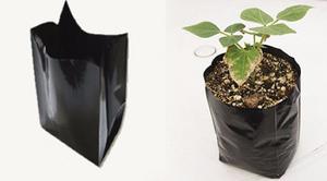 Bolsas Para Vivero Cultivo Semilla Matas x35 X 100 Und