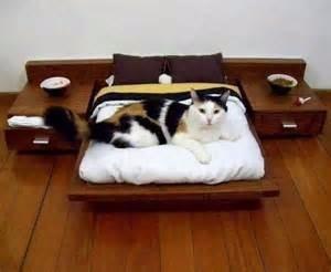 Cama Para Gato Con Mesita De Noche