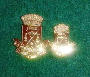 Escudo M4 De La Gnb