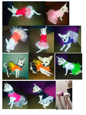 Hermosos Vestidos Para Perritas - Mascotas Ropa Perros