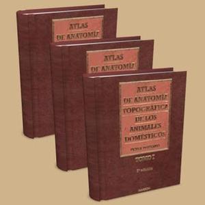 Atlas Anatomia De Los Animales Domesticos.tomo 1,2,3.popesko