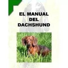 El Manual Del Salchicha Dachshund Y Adies Pdf 10 Libros