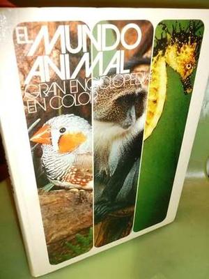 El Mundo Animal Gran Enciclopedia A Color - Libro Grande